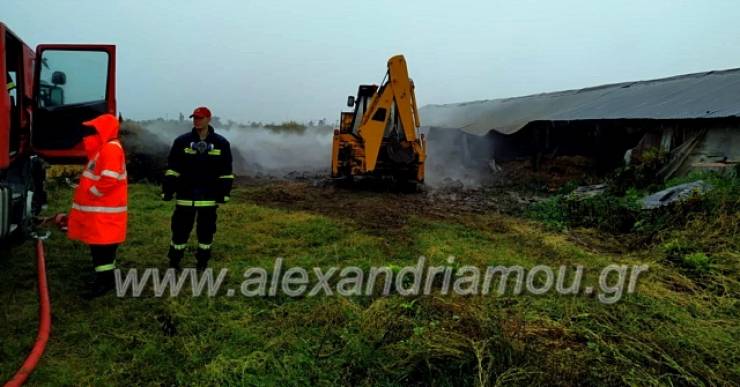 Φωτιά σε στάνη έξω από την Κορυφή Ημαθίας (φώτο)