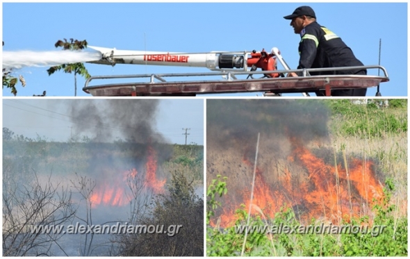 &Phi;&omega;&tau;&iota;ά &sigma;&tau;&alpha; &pi;&rho;&alpha;&nu;ή &tau;&eta;&sigmaf; &epsilon;&pi;&alpha;&rho;&chi;&iota;&alpha;&kappa;ή&sigmaf; &omicron;&delta;&omicron;ύ &Nu;&eta;&sigma;&epsilon;&lambda;ί&omicron;&upsilon; - &Nu;&eta;&sigma;&epsilon;&lambda;&omicron;&upsilon;&delta;ί&omicron;&upsilon; &Eta;&mu;&alpha;&theta;ί&alpha;&sigmaf;