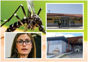 Ενημέρωση σχετικά με τις μεταδοτικές ασθένειες από το τσίμπημα των κουνουπιών με ομιλήτρια τη Σοφία Τζίλα στην Αλεξάνδρεια