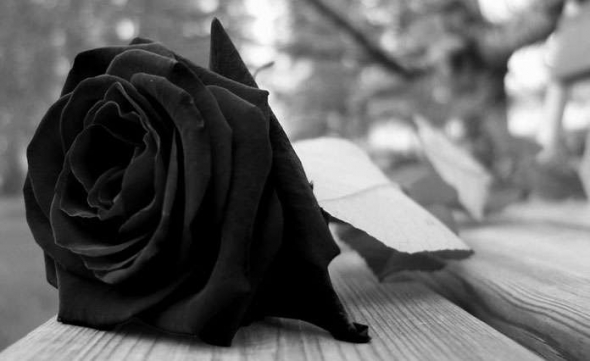 Θερμά συλληπητήρια της Α.Ε. ΑΛΕΞΑΝΔΡΕΙΑΣ στην οικογένεια του Θοδωρή Αραμπατζή