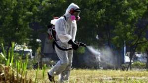 Ανακοίνωση του Προγράμματος Καταπολέμησης Κουνουπιών στο Δήμο Αλεξάνδρειας για την περίοδο από 12 Αυγούστου