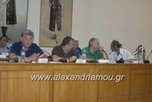 Στις 27 Ιουνίου Δημοτικό Συμβούλιο Αλεξάνδρειας με 49 θέματα