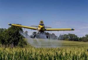Διενέργεια έκτακτων ψεκασμών για την καταπολέμηση κουνουπιών στις αγροτικές περιοχές ρυζοκαλλιεργειών του κάμπου Ημαθίας και Θεσσαλονίκης