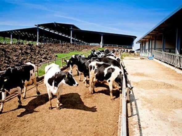 Π.Ε Ημαθίας: Άδεια διατήρησης κτηνοτροφικών εκμεταλλεύσεων που λειτουργούν εντός ή πλησίον κατοικημένων περιοχών