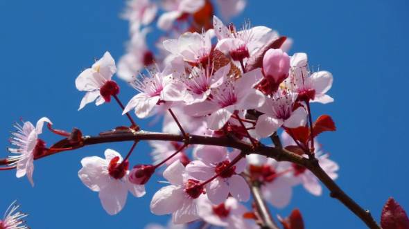 E&alpha;&rho;&iota;&nu;ή &Iota;&sigma;&eta;&mu;&epsilon;&rho;ί&alpha; 2024: &Mu;&pi;ή&kappa;&epsilon; &kappa;&alpha;&iota; &epsilon;&pi;ί&sigma;&eta;&mu;&alpha; &eta; ά&nu;&omicron;&iota;&xi;&eta;