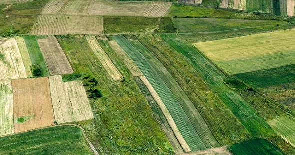 &Alpha;&nu;&alpha;&kappa;&omicron;ί&nu;&omega;&sigma;&eta; &Delta;&eta;&mu;&omicron;&pi;&rho;&alpha;&sigma;&iota;ώ&nu; &epsilon;&kappa;&mu;ί&sigma;&theta;&omega;&sigma;&eta;&sigmaf; &alpha;&gamma;&rho;&omicron;&tau;&epsilon;&mu;&alpha;&chi;ί&omega;&nu; &tau;&omicron;&upsilon; &Delta;ή&mu;&omicron;&upsilon; &Alpha;&lambda;&epsilon;&xi;ά&nu;&delta;&rho;&epsilon;&iota;&alpha;&sigmaf;