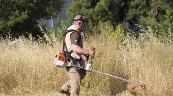 Oικόπεδα: Από την 1η Απριλίου ο υποχρεωτικός ο καθαρισμός τους - Τι πρέπει να γνωρίζετε για τα πρόστιμα