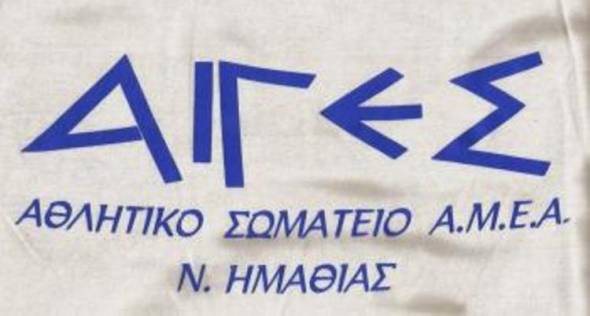 Το νέο Δ.Σ. του Αθλητικού Σωματείου ΑμεΑ Ν. Ημαθίας &quot;Αιγές&quot;