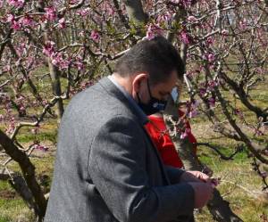 Κώστας Καλαϊτζίδης για παγετό: Είμαστε σε κατάσταση έκτακτης ανάγκης, με ζημιές 100%, να δοθούν άμεσα προκαταβολές αποζημιώσεων