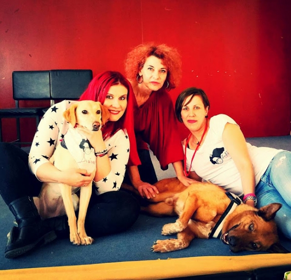 &Zeta;&omega;&omicron;&phi;&iota;&lambda;&iota;&kappa;ή &epsilon;&nu;&eta;&mu;έ&rho;&omega;&sigma;&eta; &sigma;&tau;&omicron; &Epsilon;&Pi;&Alpha;&Lambda; &Alpha;&lambda;&epsilon;&xi;ά&nu;&delta;&rho;&epsilon;&iota;&alpha;&sigmaf; - &Epsilon;&upsilon;&chi;&alpha;&rho;&iota;&sigma;&tau;ή&rho;&iota;&alpha; &epsilon;&pi;&iota;&sigma;&tau;&omicron;&lambda;ή &sigma;&tau;&eta;&nu; &omicron;&mu;ά&delta;&alpha; &Zeta;.&Omega;.&Epsilon;.&Sigma;.