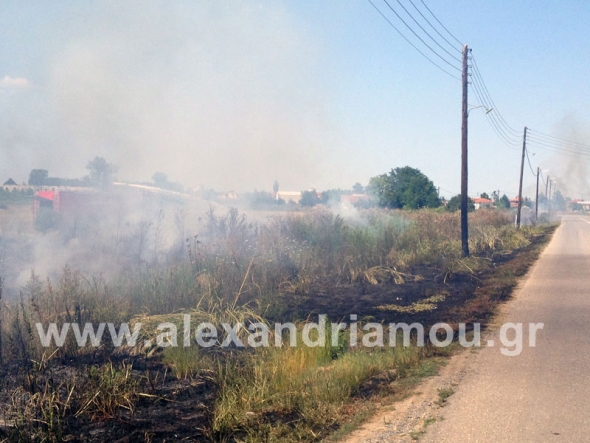 Φωτιά μεγάλης έντασης και με πολλές εστίες στα Τρίκαλα Ημαθίας