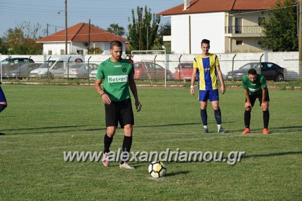 &Mu;. &Alpha;&Lambda;&Epsilon;&Xi;&Alpha;&Nu;&Delta;&Rho;&Omicron;&Sigma; &Tau;&Rho;&Iota;&Kappa;&Alpha;&Lambda;&Omega;&Nu; - &Gamma;&Alpha;&Sigma; &Rho;&Omicron;&Delta;&Omicron;&Chi;&Omega;&Rho;&Iota;&Omicron;&Upsilon; &gamma;&iota;&alpha; &tau;&omicron; &kappa;ύ&pi;&epsilon;&lambda;&omicron; &tau;&eta;&sigmaf; &Epsilon;&Pi;&Sigma; &Eta;&mu;&alpha;&theta;ί&alpha;&sigmaf; - &Delta;&epsilon;ί&tau;&epsilon; &tau;&alpha; &gamma;&kappa;&omicron;&lambda; &sigma;&epsilon; &beta;ί&nu;&tau;&epsilon;&omicron;