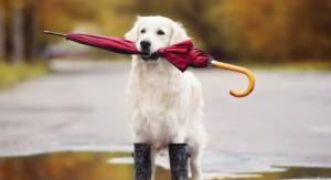 Καιρός: Έρχεται ψυχρή «εισβολή» τη νέα εβδομάδα - Τι αλλάζει από τις 11 Νοεμβρίου