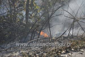 Φωτιά σε μεγάλη χορτολιβαδική έκταση στην Αγία Κυριακή στο Λουτρό(φώτο-βίντεο)