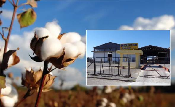 &Theta;έ&sigma;&epsilon;&iota;&sigmaf; &epsilon;&rho;&gamma;&alpha;&sigma;ί&alpha;&sigmaf; &sigma;&tau;&eta;&nu; &epsilon;&tau;&alpha;&iota;&rho;&epsilon;ί&alpha;  &Epsilon;&Kappa;&Kappa;&Omicron;&Kappa;&Kappa;&Iota;&Sigma;&Tau;&Eta;&Rho;&Iota;&Alpha; &Eta;&Mu;&Alpha;&Theta;&Iota;&Alpha;&Sigma; &Alpha;.&Beta;.&Epsilon;.&Epsilon;. &sigma;&tau;&eta;&nu; &Alpha;&lambda;&epsilon;&xi;ά&nu;&delta;&rho;&epsilon;&iota;&alpha;