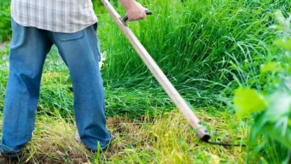 &Delta;ή&mu;&omicron;&sigmaf; &Alpha;&lambda;&epsilon;&xi;ά&nu;&delta;&rho;&epsilon;&iota;&alpha;&sigmaf;: &Kappa;&alpha;&theta;&alpha;&rho;&iota;&sigma;&mu;ό&sigmaf; &omicron;&iota;&kappa;&omicron;&pi;&epsilon;&delta;&iota;&kappa;ώ&nu; &kappa;&alpha;&iota; &lambda;&omicron;&iota;&pi;ώ&nu; &alpha;&kappa;ά&lambda;&upsilon;&pi;&tau;&omega;&nu; &chi;ώ&rho;&omega;&nu; &pi;&rho;&omicron;&sigmaf; &alpha;&pi;&omicron;&phi;&upsilon;&gamma;ή &epsilon;&kappa;&delta;ή&lambda;&omega;&sigma;&eta;&sigmaf; &pi;&upsilon;&rho;&kappa;&alpha;&gamma;&iota;ώ&nu;