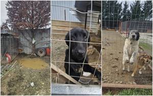 &Delta;&iota;&alpha;&pi;&iota;&sigma;&tau;ώ&theta;&eta;&kappa;&alpha;&nu; &Pi;&alpha;&rho;&alpha;&beta;ά&sigma;&epsilon;&iota;&sigmaf; &sigma;&tau;&alpha; ά&tau;&upsilon;&pi;&alpha; &kappa;&alpha;&tau;&alpha;&phi;ύ&gamma;&iota;&alpha; &alpha;&delta;έ&sigma;&pi;&omicron;&tau;&omega;&nu; &tau;&omicron;&upsilon; &Delta;ή&mu;&omicron;&upsilon; &Alpha;&lambda;&epsilon;&xi;ά&nu;&delta;&rho;&epsilon;&iota;&alpha;&sigmaf; - Έ&rho;&chi;&omicron;&nu;&tau;&alpha;&iota; &pi;&omicron;&iota;&nu;&iota;&kappa;&omicron;&delta;&iota;&omicron;&iota;&kappa;&eta;&tau;&iota;&kappa;έ&sigmaf; &kappa;&upsilon;&rho;ώ&sigma;&epsilon;&iota;&sigmaf; - &Delta;&epsilon;ί&tau;&epsilon; &epsilon;&iota;&kappa;ό&nu;&epsilon;&sigmaf;