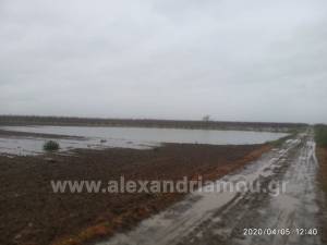 Σε απέραντες λίμνες έχουν μετατραπεί τα χωράφια στο Δήμο Αλεξάνδρειας