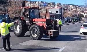 Δυναμικές οι κινητοποιήσεις αγροτών του Δήμου Αλεξάνδρειας - Ψήφισμα σε Αντιπεριφέρεια Ημαθίας και ΕΛΓΑ(φωτο)