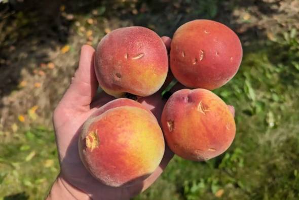 &Epsilon;&Lambda;&Gamma;&Alpha; &Eta;&mu;&alpha;&theta;ί&alpha;&sigmaf;: &Pi;&omicron;&rho;ί&sigma;&mu;&alpha;&tau;&alpha; &epsilon;&kappa;&tau;ί&mu;&eta;&sigma;&eta;&sigmaf; &zeta;&eta;&mu;&iota;ώ&nu; &alpha;&pi;ό &tau;&omicron; &chi;&alpha;&lambda;ά&zeta;&iota; &tau;&eta;&sigmaf; 17/04/2023 &sigma;&epsilon; &kappa;&alpha;&lambda;&lambda;&iota;έ&rho;&gamma;&epsilon;&iota;&epsilon;&sigmaf; &tau;&eta;&sigmaf; &Delta;/&Kappa; &Pi;&rho;&alpha;&sigma;&iota;&nu;ά&delta;&alpha;&sigmaf;