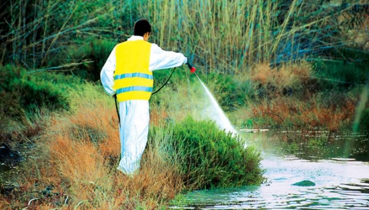 Ψεκασμός για την καταπολέμηση κουνουπιών στον οικισμό Παλαιοχωρίου 28/29-08