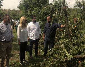 Ο Τάσος Μπαρτζώκας σε σύσκεψη με την υφυπουργό Αγροτικής Ανάπτυξης Φωτεινή Αραμπατζή - Δίκαιη αντιμετώπιση προς όλους και άμεσες ενέργειες