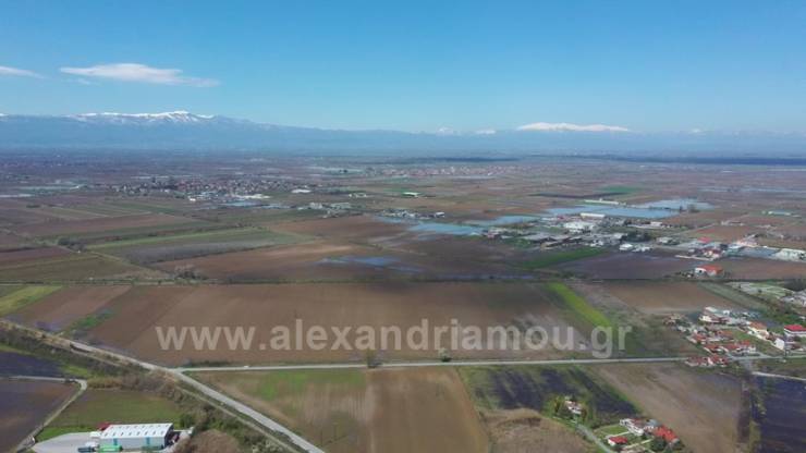 Δημοπρασίες για την εκμίσθωση Αγροτεμαχίων στις Τοπικές Κοινότητες Κορυφής (Νεοχωρόπουλο) και Αγκαθιάς του Δήμου Αλεξάνδρειας