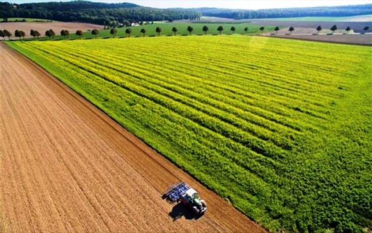 Δημοπρασίες για την εκμίσθωση αγροτεμαχίων του Δήμου Αλεξάνδρειας ανακοινώθηκαν για την περίοδο 5 έως και 23 Δεκεμβρίου