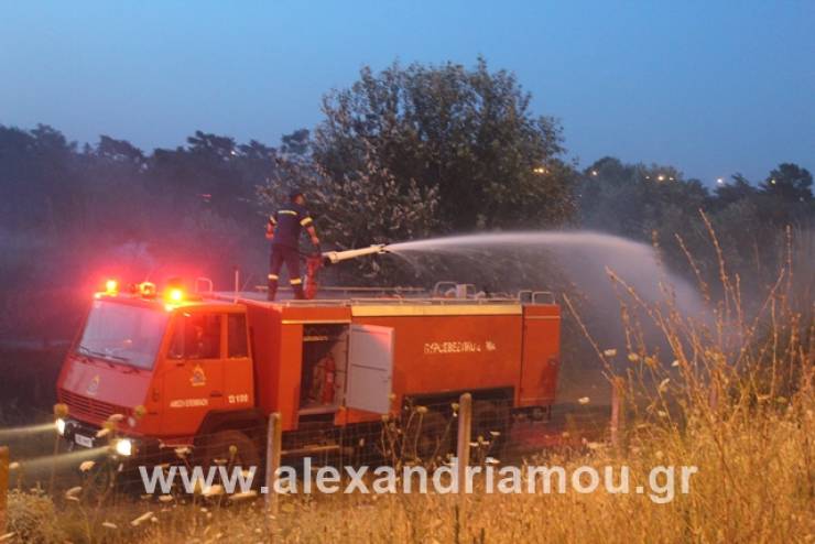 Φωτιά κοντά στον κόμβο Νησελίου (φώτο-βίντεο)