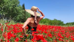 &Mu;&epsilon; &eta;&lambda;&iota;&omicron;&phi;ά&nu;&epsilon;&iota;&alpha; &xi;&epsilon;&kappa;&iota;&nu;ά &eta; &epsilon;&beta;&delta;&omicron;&mu;ά&delta;&alpha; &ndash; &Alpha;&lambda;&lambda;ά&zeta;&epsilon;&iota; &omicron; &kappa;&alpha;&iota;&rho;ό&sigmaf; &alpha;&pi;ό &Pi;έ&mu;&pi;&tau;&eta; &ndash; &Eta; &pi;&rho;ό&gamma;&nu;&omega;&sigma;&eta; &gamma;&iota;&alpha; &tau;&eta;&nu; &Pi;&rho;&omega;&tau;&omicron;&mu;&alpha;&gamma;&iota;ά