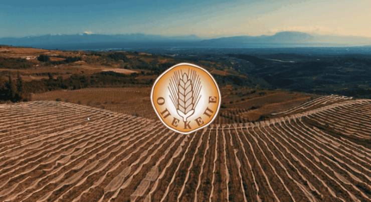 ΟΠΕΚΕΠΕ: Άνοιξε το σύστημα για διορθώσεις στην ΕΑΕ 2025 λόγω monitoring – Ειδοποίηση για αγρανάπαυση και κοπτολίβαδα