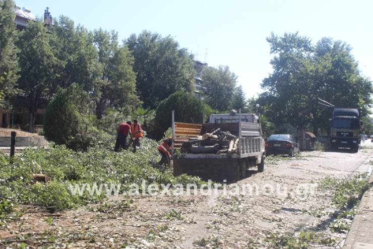 Συνεργεία του Δήμου και της Πυροσβεστικής Υπηρεσίας Αλεξάνδρειας...επί ποδός (φώτο)