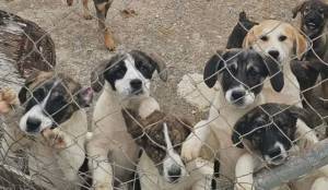 &Alpha;&lambda;&epsilon;&xi;ά&nu;&delta;&rho;&epsilon;&iota;&alpha;, 4 &Alpha;&pi;&rho;ί&lambda;&eta; 2026: 68 &psi;&upsilon;&chi;έ&sigmaf; &alpha;&pi;&omicron;&kappa;&alpha;&lambda;ύ&pi;&tau;&omicron;&upsilon;&nu; &mu;&iota;&alpha; &alpha;&lambda;ή&theta;&epsilon;&iota;&alpha; &pi;&omicron;&upsilon; &delta;&epsilon;&nu; &kappa;&rho;ύ&beta;&epsilon;&tau;&alpha;&iota; ά&lambda;&lambda;&omicron;&hellip;