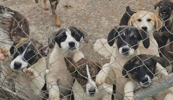 &Alpha;&lambda;&epsilon;&xi;ά&nu;&delta;&rho;&epsilon;&iota;&alpha;, 4 &Alpha;&pi;&rho;ί&lambda;&eta; 2026: 68 &psi;&upsilon;&chi;έ&sigmaf; &alpha;&pi;&omicron;&kappa;&alpha;&lambda;ύ&pi;&tau;&omicron;&upsilon;&nu; &mu;&iota;&alpha; &alpha;&lambda;ή&theta;&epsilon;&iota;&alpha; &pi;&omicron;&upsilon; &delta;&epsilon;&nu; &kappa;&rho;ύ&beta;&epsilon;&tau;&alpha;&iota; ά&lambda;&lambda;&omicron;&hellip;