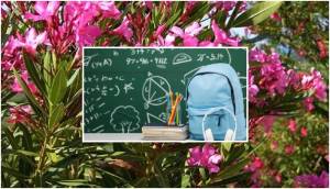 &Upsilon;&Pi;&Alpha;&Iota;&Theta;&Alpha; - &Epsilon;&Omicron;&Delta;&Upsilon;: &Omicron;&delta;&eta;&gamma;ί&epsilon;&sigmaf; &gamma;&iota;&alpha; &epsilon;&pi;&iota;&kappa;ί&nu;&delta;&upsilon;&nu;&omicron; &tau;&omicron;&xi;&iota;&kappa;ό &phi;&upsilon;&tau;ό &sigma;&epsilon; &sigma;&chi;&omicron;&lambda;&epsilon;ί&alpha;