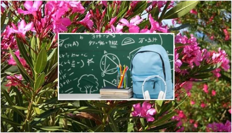 &Upsilon;&Pi;&Alpha;&Iota;&Theta;&Alpha; - &Epsilon;&Omicron;&Delta;&Upsilon;: &Omicron;&delta;&eta;&gamma;ί&epsilon;&sigmaf; &gamma;&iota;&alpha; &epsilon;&pi;&iota;&kappa;ί&nu;&delta;&upsilon;&nu;&omicron; &tau;&omicron;&xi;&iota;&kappa;ό &phi;&upsilon;&tau;ό &sigma;&epsilon; &sigma;&chi;&omicron;&lambda;&epsilon;ί&alpha;