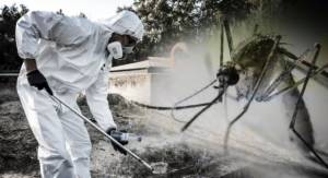 E&beta;&delta;&omicron;&mu;&alpha;&delta;&iota;&alpha;ίo &pi;&rho;ό&gamma;&rho;&alpha;&mu;&mu;&alpha; &delta;&rho;ά&sigma;&epsilon;&omega;&nu; &kappa;&alpha;&tau;ά &tau;&omega;&nu; &kappa;&omicron;&upsilon;&nu;&omicron;&upsilon;&pi;&iota;ώ&nu; &sigma;&tau;&omicron;&upsilon;&sigmaf; &omicron;&iota;&kappa;&iota;&sigma;&mu;&omicron;ύ&sigmaf; &tau;&omicron;&upsilon; &Delta;ή&mu;&omicron;&upsilon; &Alpha;&lambda;&epsilon;&xi;ά&nu;&delta;&rho;&epsilon;&iota;&alpha;&sigmaf; έ&omega;&sigmaf; &kappa;&alpha;&iota; &tau;&eta;&nu; &Tau;&rho;ί&tau;&eta; 29 &Sigma;&epsilon;&pi;&tau;&epsilon;&mu;&beta;&rho;ί&omicron;&upsilon;