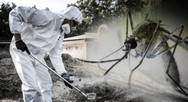E&beta;&delta;&omicron;&mu;&alpha;&delta;&iota;&alpha;ίo &pi;&rho;ό&gamma;&rho;&alpha;&mu;&mu;&alpha; &delta;&rho;ά&sigma;&epsilon;&omega;&nu; &kappa;&alpha;&tau;ά &tau;&omega;&nu; &kappa;&omicron;&upsilon;&nu;&omicron;&upsilon;&pi;&iota;ώ&nu; &sigma;&tau;&omicron;&upsilon;&sigmaf; &omicron;&iota;&kappa;&iota;&sigma;&mu;&omicron;ύ&sigmaf; &tau;&omicron;&upsilon; &Delta;ή&mu;&omicron;&upsilon; &Alpha;&lambda;&epsilon;&xi;ά&nu;&delta;&rho;&epsilon;&iota;&alpha;&sigmaf; έ&omega;&sigmaf; &kappa;&alpha;&iota; &tau;&eta;&nu; &Tau;&rho;ί&tau;&eta; 29 &Sigma;&epsilon;&pi;&tau;&epsilon;&mu;&beta;&rho;ί&omicron;&upsilon;