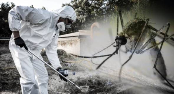 E&beta;&delta;&omicron;&mu;&alpha;&delta;&iota;&alpha;ίo &pi;&rho;ό&gamma;&rho;&alpha;&mu;&mu;&alpha; &delta;&rho;ά&sigma;&epsilon;&omega;&nu; &kappa;&alpha;&tau;ά &tau;&omega;&nu; &kappa;&omicron;&upsilon;&nu;&omicron;&upsilon;&pi;&iota;ώ&nu; &sigma;&tau;&omicron;&upsilon;&sigmaf; &omicron;&iota;&kappa;&iota;&sigma;&mu;&omicron;ύ&sigmaf; &tau;&omicron;&upsilon; &Delta;ή&mu;&omicron;&upsilon; &Alpha;&lambda;&epsilon;&xi;ά&nu;&delta;&rho;&epsilon;&iota;&alpha;&sigmaf; έ&omega;&sigmaf; &kappa;&alpha;&iota; &tau;&eta;&nu; &Tau;&rho;ί&tau;&eta; 29 &Sigma;&epsilon;&pi;&tau;&epsilon;&mu;&beta;&rho;ί&omicron;&upsilon;