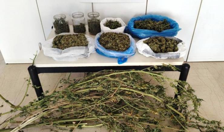 Χειροπέδες σε δύο άνδρες που έκρυβαν σε σπίτια και αποθήκες κάνναβη