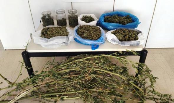 Χειροπέδες σε δύο άνδρες που έκρυβαν σε σπίτια και αποθήκες κάνναβη