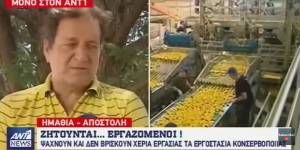 Ο ΑΝΤ1 στα εργοστάσια της Ημαθίας: Ψάχνουμε προσωπικό και οι νέοι είναι στις καφετέριες! (vid)